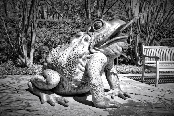 FrogFountain_LindaJamesPhotography__