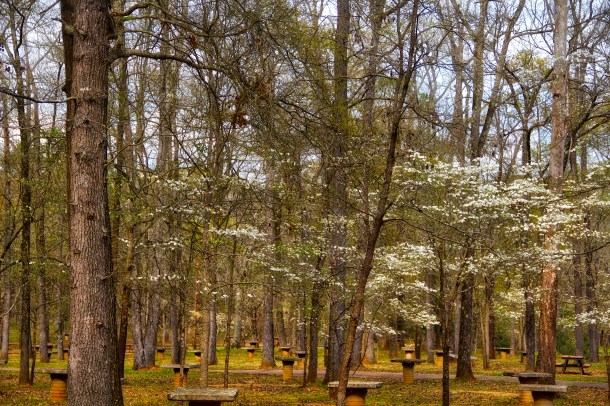 HiddenBlooms_LindaJamesPhotography