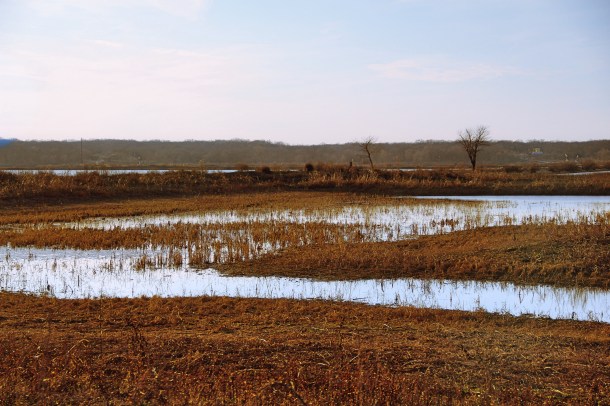 redriverwaterway_lindajamesphotography_