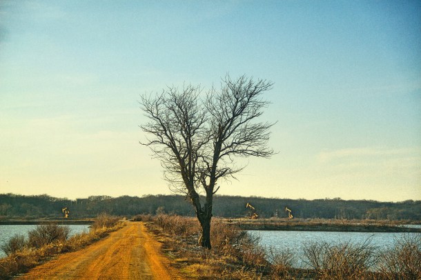 wildlifetrail_lindajamesphotogrpahy_