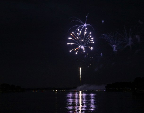 PurpleMajesty_LK17_LindaJamesPhotography