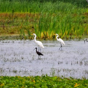 Walking In The&nbsp;Rain