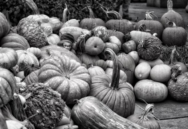 FallPumpkinsAndGhordsBW_LindaJamesPhotography