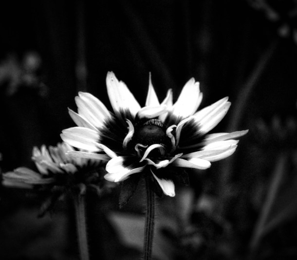 Glow_LindaJamesPhotography