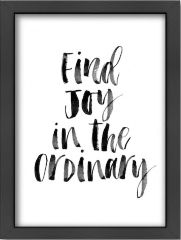 find_Joy_in_the_ordinary