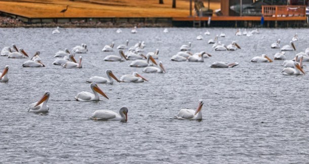 Floating_LindaJamesPhotography_S