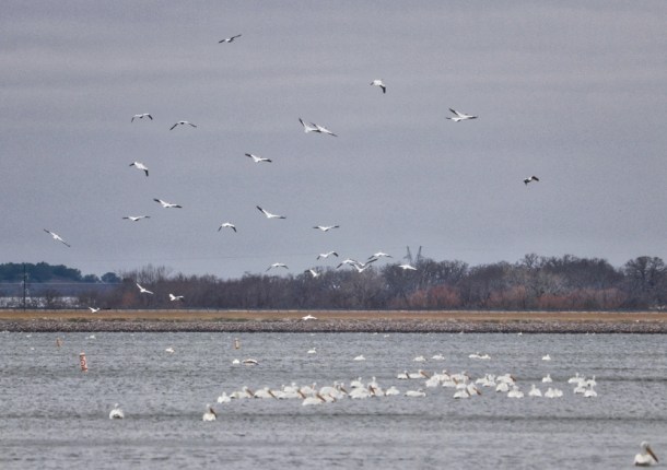 MyTurn_LindaJamesPhotography_S