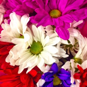 Fresh As A&nbsp;Daisy