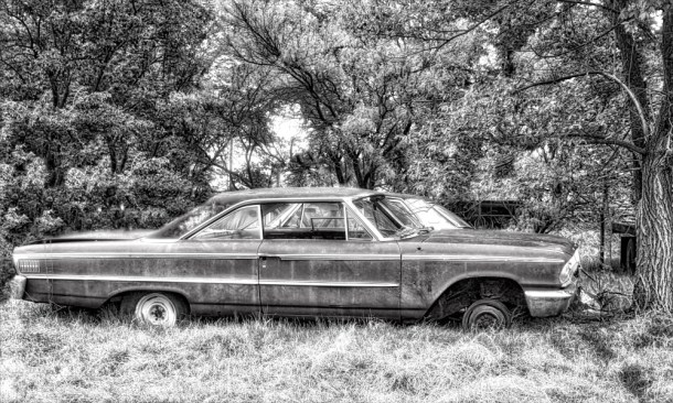 AmongTheTrees_LindaJamesPhotography