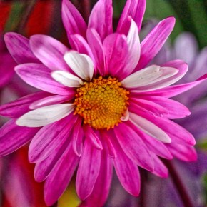 You Will… – Thoughtful&nbsp;Thursday