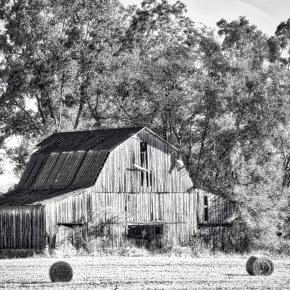 Tennessee Barn (BW)