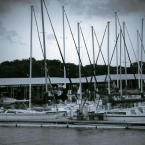 Waiting Out the Storm&nbsp;(MM)