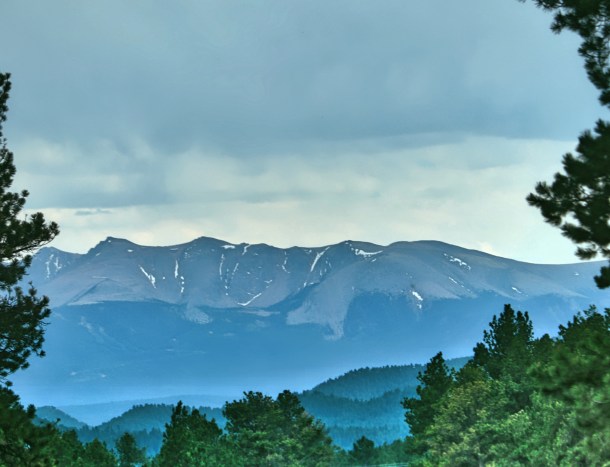 AmongTheTrees__LIndaJamesPhotography