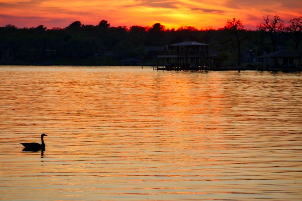 SunsetSwim_LindaJamesPhotography_April2019 RR