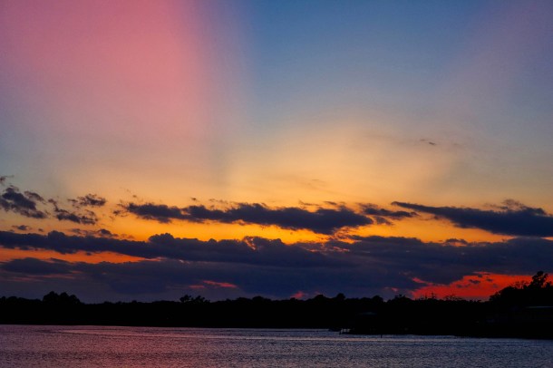 SplashOfColor_LindaJamesPhotography_2019_